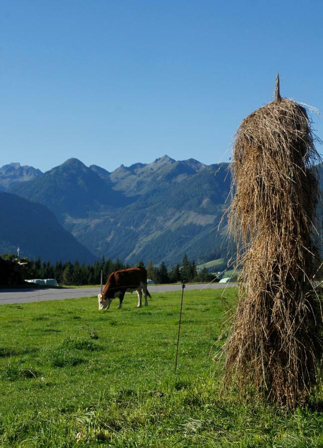 Landl Vorberg Villa Ramsau am Dachstein Kültér fotó