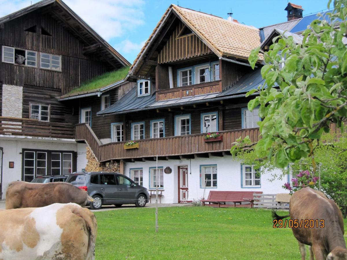 Landl Vorberg Villa Ramsau am Dachstein Kültér fotó
